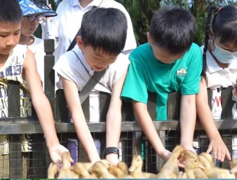 暑假親子溯源一日游